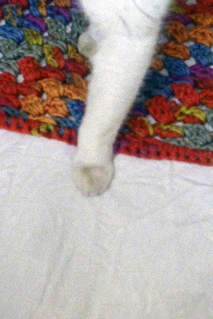 Henry is a Girl Who Likes to Sleep (2026)