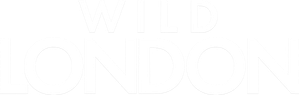 Wild London
