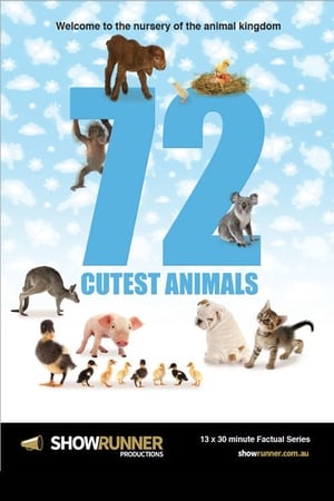 Poster 72 Cutest Animals Сезон 1 Серія 5 2016