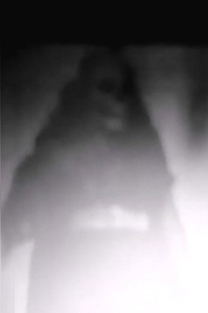 Pain Flow Blood Flow (2022)