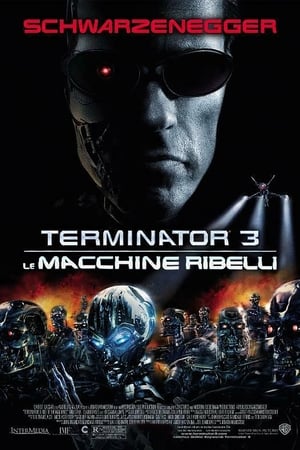 Poster Terminator 3 - Le macchine ribelli 2003