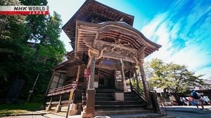 Journeys in Japan: 14×21