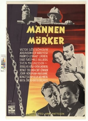 Männen i mörker poster