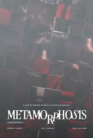 Metamorphosis 11