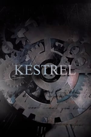 Poster Kestrel 2018