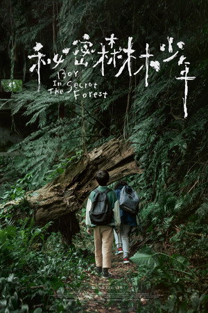 Boy in the Secret Forest 2