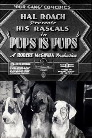 Poster Pups Is Pups 1930