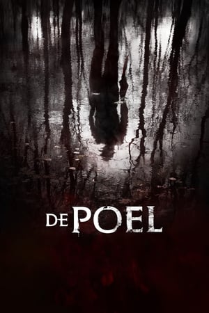 Poster De Poel 2014