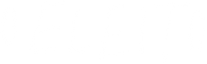 O Eleito