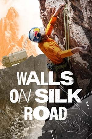 Poster Walls on Silk Road ()