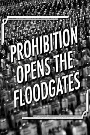 Prohibition Opens the Floodgates (2006) | Team Personality Map