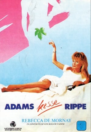Poster Adams kesse Rippe 1988