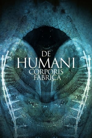 Poster De Humani Corporis Fabrica 2023