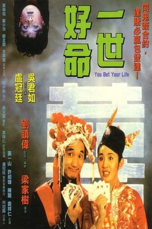 Poster You Bet Your Life (1991)