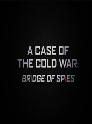 Image A Case of the Cold War: Bridge of Spies