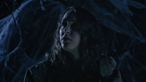 The Lookout Online En Netflix