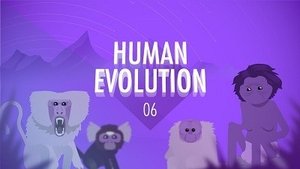 Crash Course Big History Human Evolution