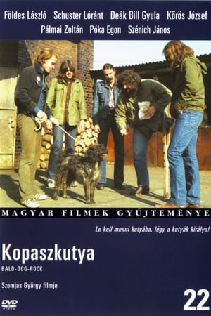 Image Kopaszkutya