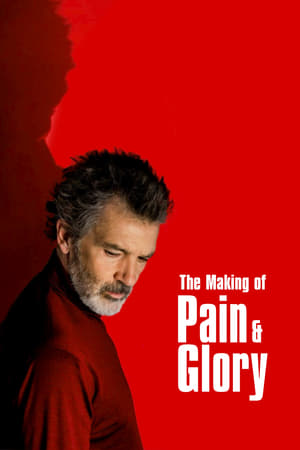 Poster The Making of Pain and Glory 2020