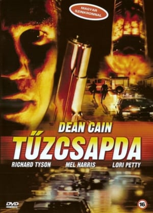 Poster Tűzcsapda 2001