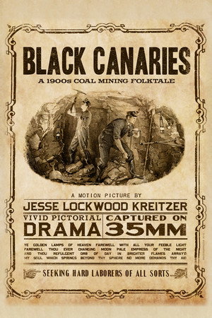 Black Canaries 7