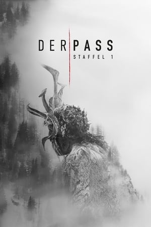 Der Pass: Temporada 1