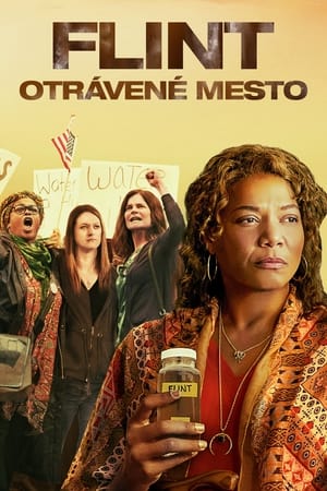 Poster Flint: Otrávené mesto 2017