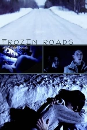 Poster Frozen Roads 2012