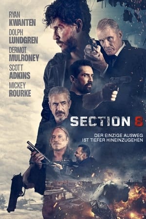 Section 8