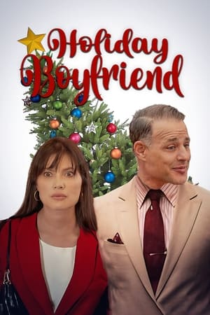 Poster Holiday Boyfriend (2023)