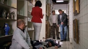 Die Rosenheim-Cops Season 11 Episode 15