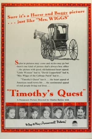 Poster Timothy's Quest 1936