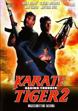 Image Karate Tiger 2