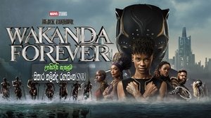 Black Panther: Wakanda Forever (2022)