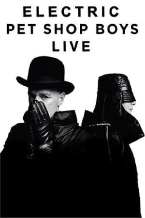 Poster Pet Shop Boys Electric (2014)