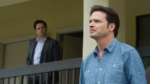 Rectify 3 x 6