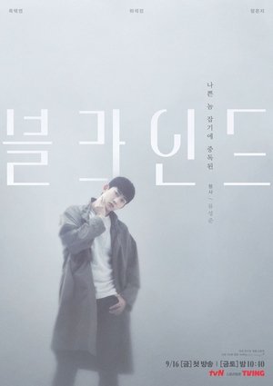 Poster 블라인드 2022