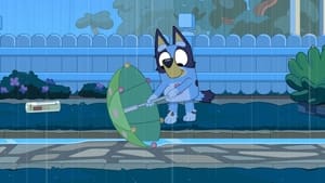 Bluey Season 3 Episode 18