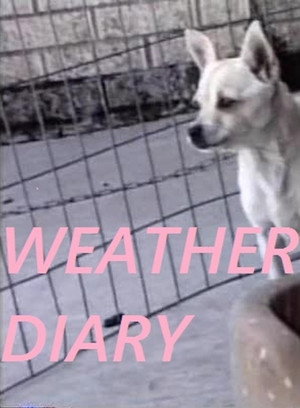 Weather Diary 3 2