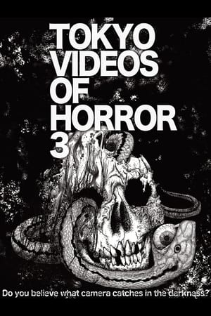 Tokyo Videos of Horror 3 film complet