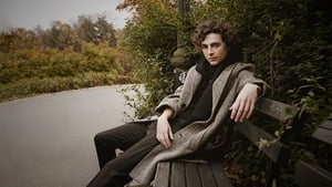 Saturday Night Live November 11 - Timothée Chalamet