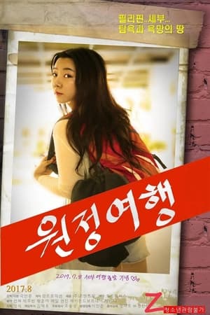 Poster 원정여행 (2017)