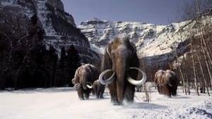 The Mammoth. Titan of the Ice Age