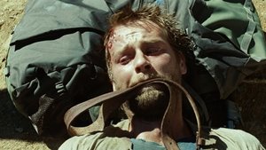 The Ruins ( 2008 )