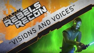 Inside "Visions and Voices"