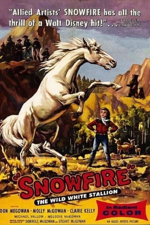 Snowfire poster