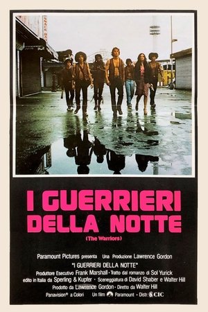 Poster di I guerrieri della notte