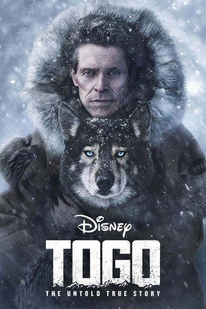 Постер фильма «Того (2019)» — (14 из 29)
