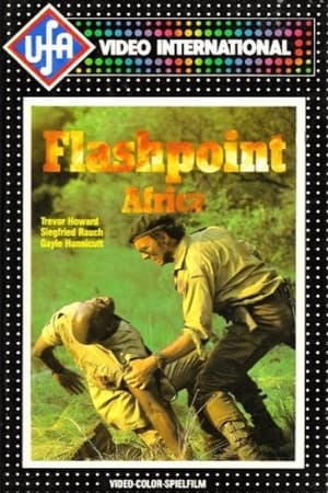 Flashpoint Africa 1980