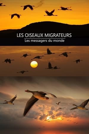 Les oiseaux migrateurs - Les messagers du monde (2016)